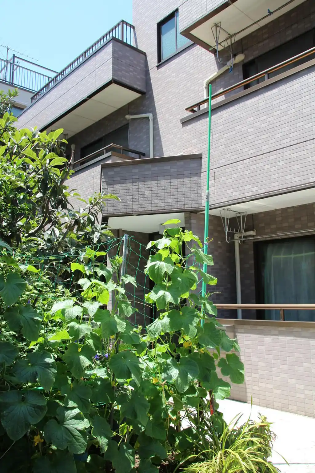 パールハイム 外観