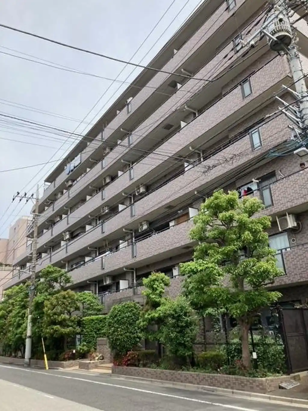 ナイスアーバン亀有さくら通り 外観