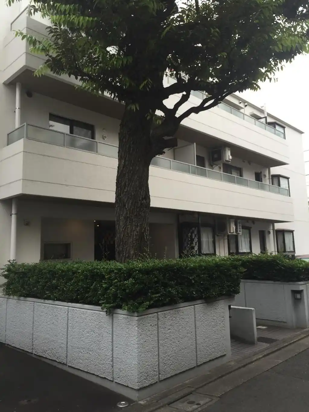 中野桃園パークハウス 外観
