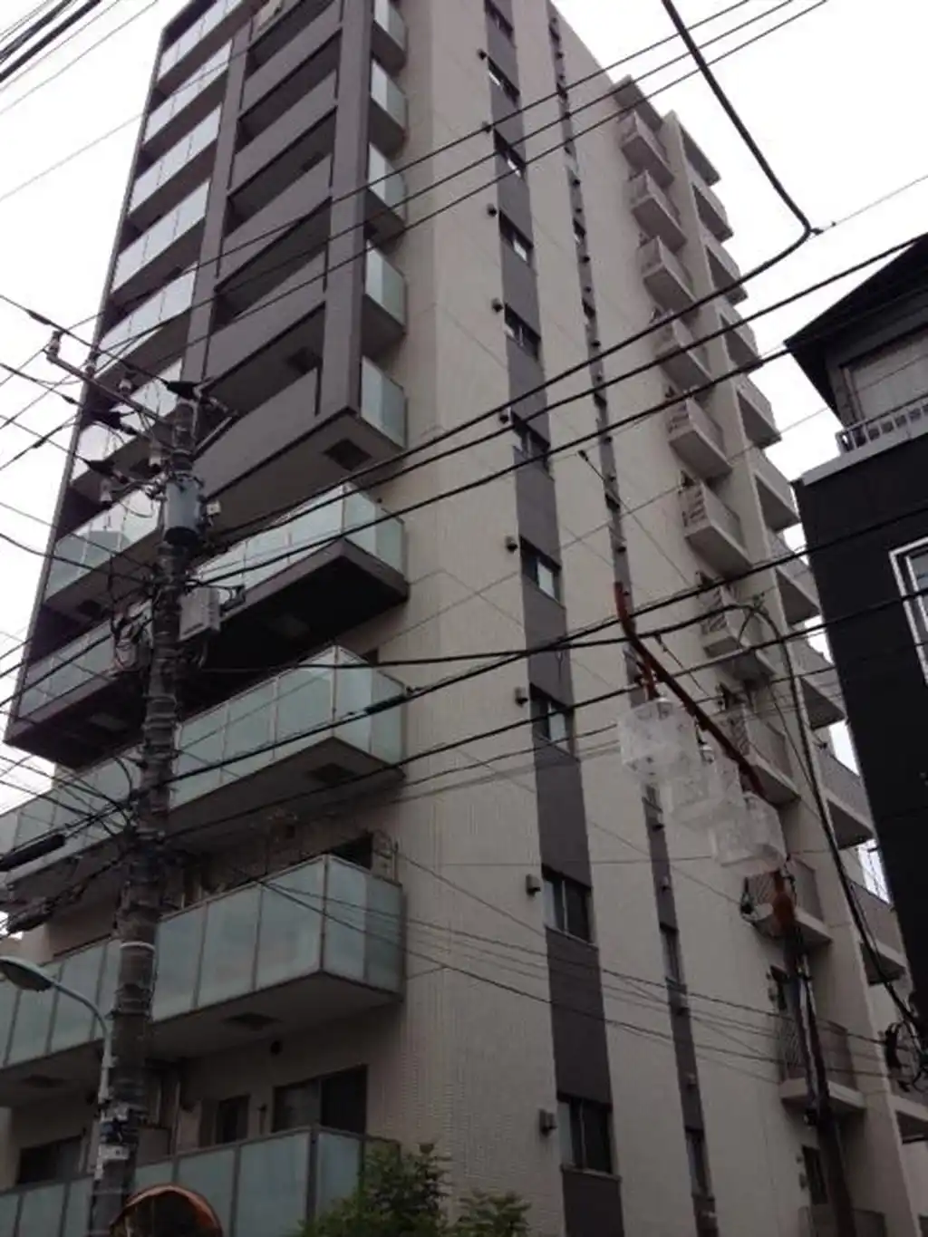 リビオレゾン白金 外観