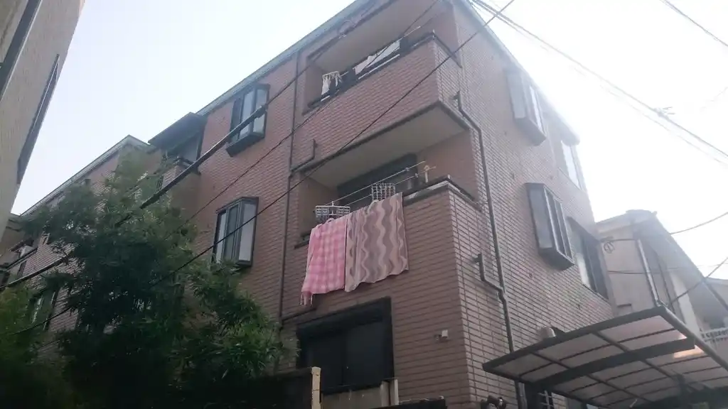 サバイディ 外観