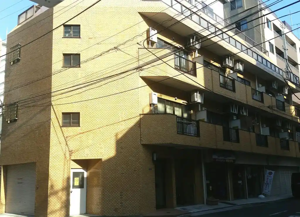 岡山ビルパリセード岡山 外観