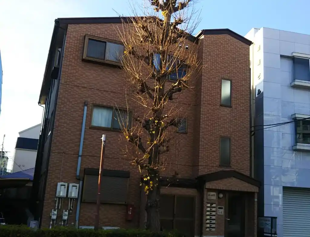 カーサ11 外観