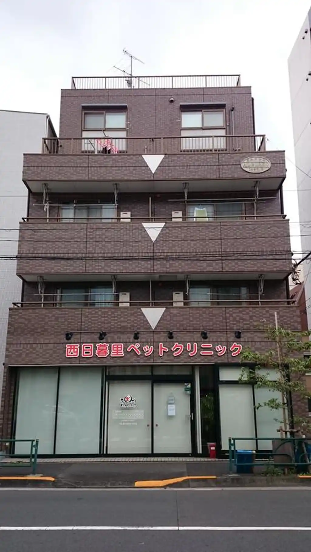 アルビレオ 外観