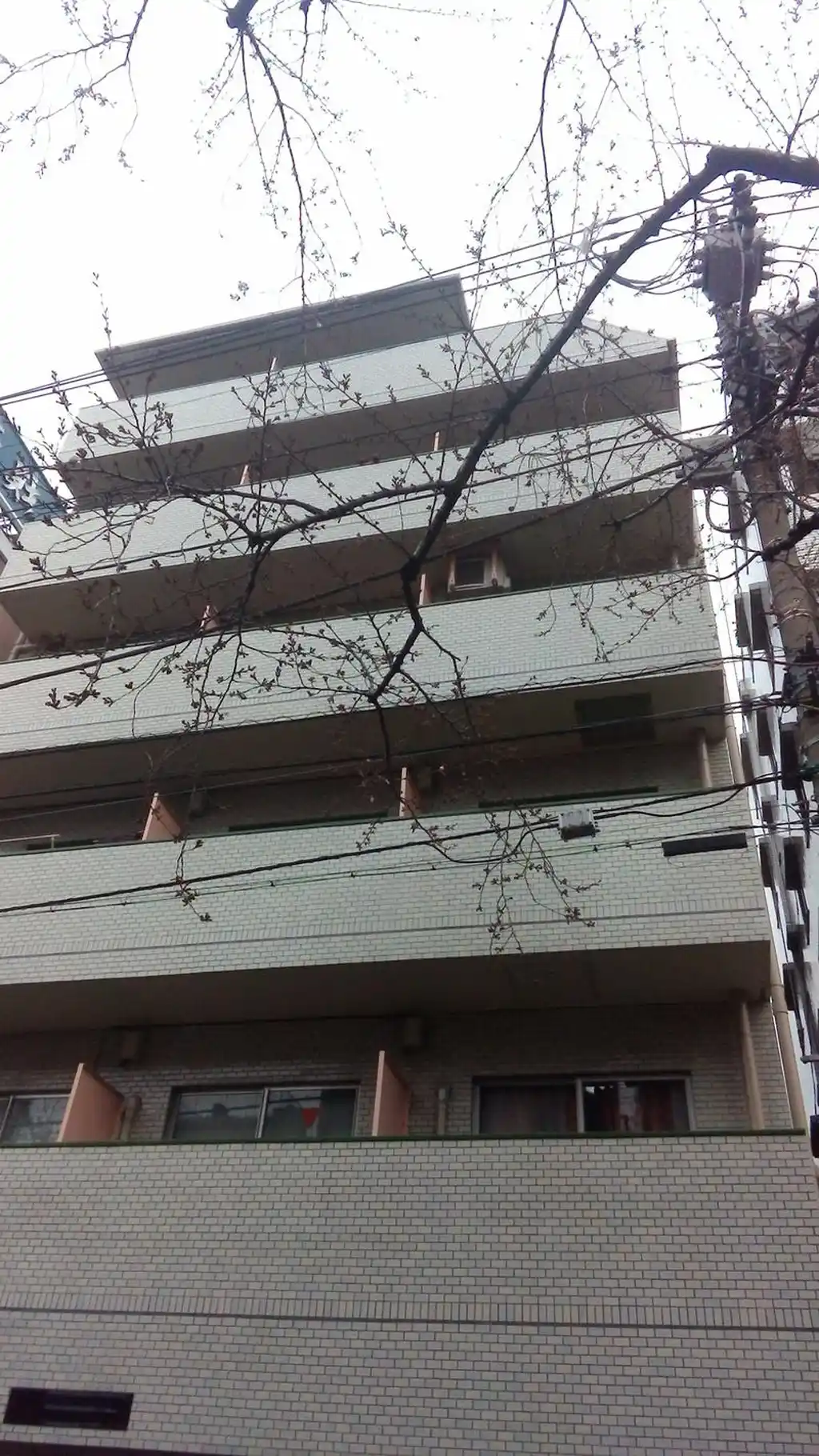 エージェックス中村橋 外観