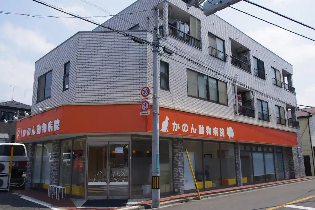 レジデンス与野 外観