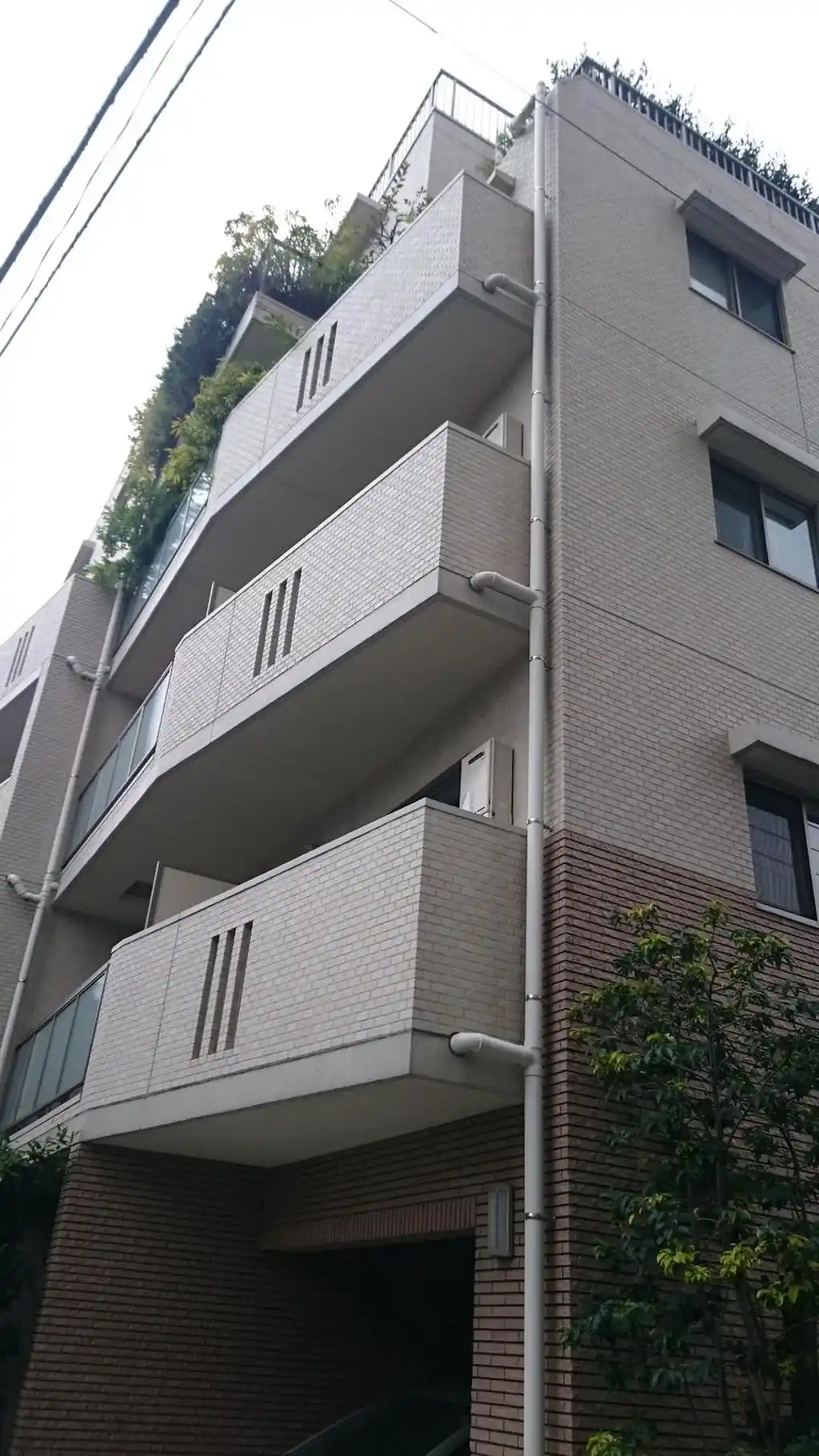 メゾンアスター 外観
