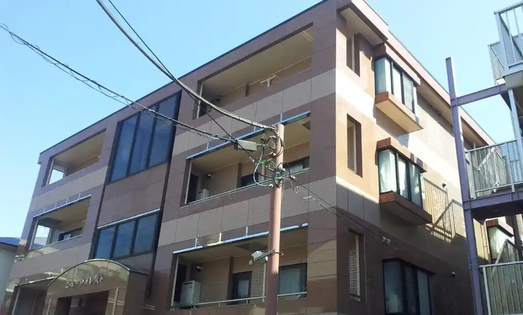 ニューフォレスト 外観