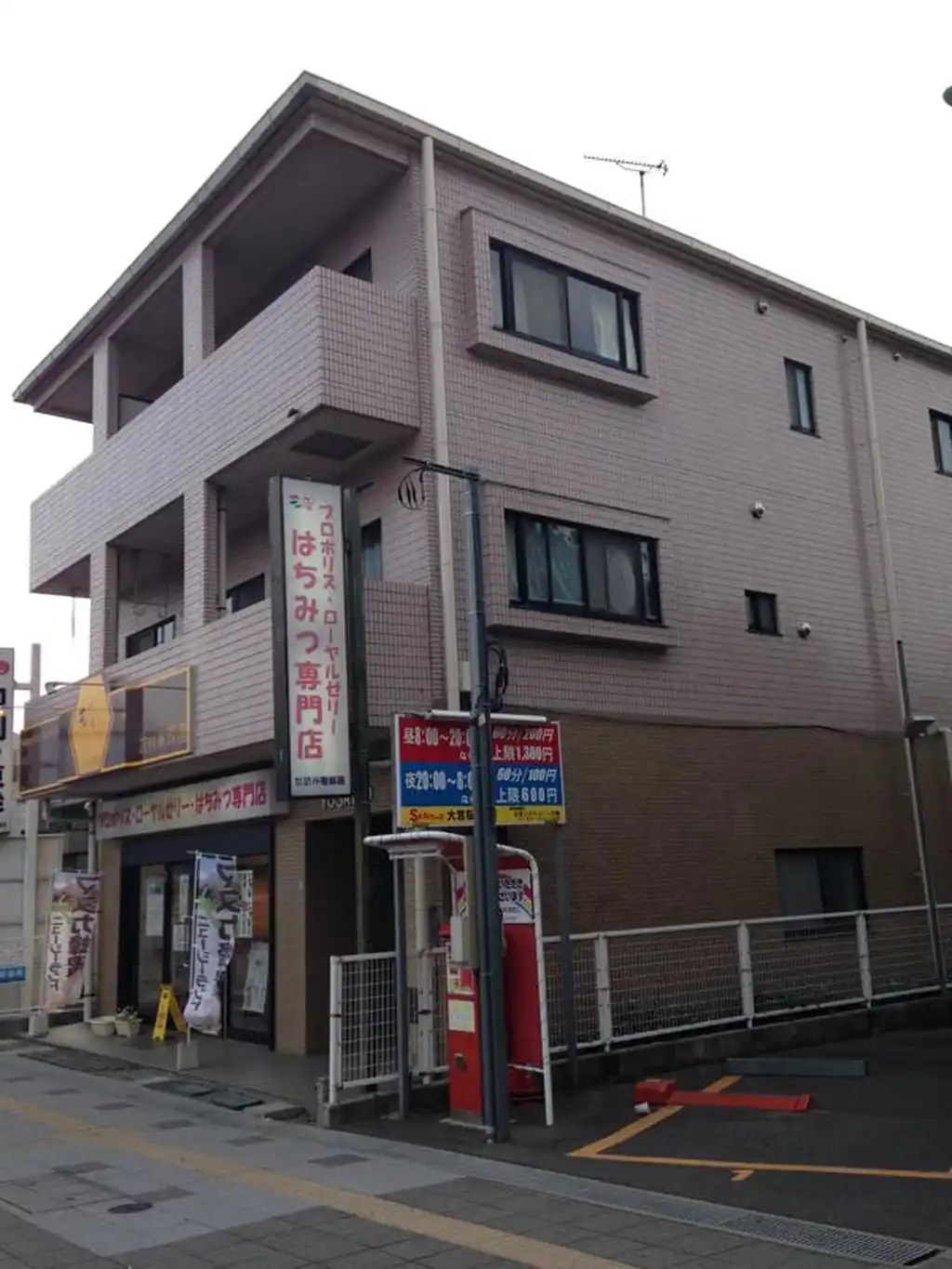 桜の木ヨシノ 外観