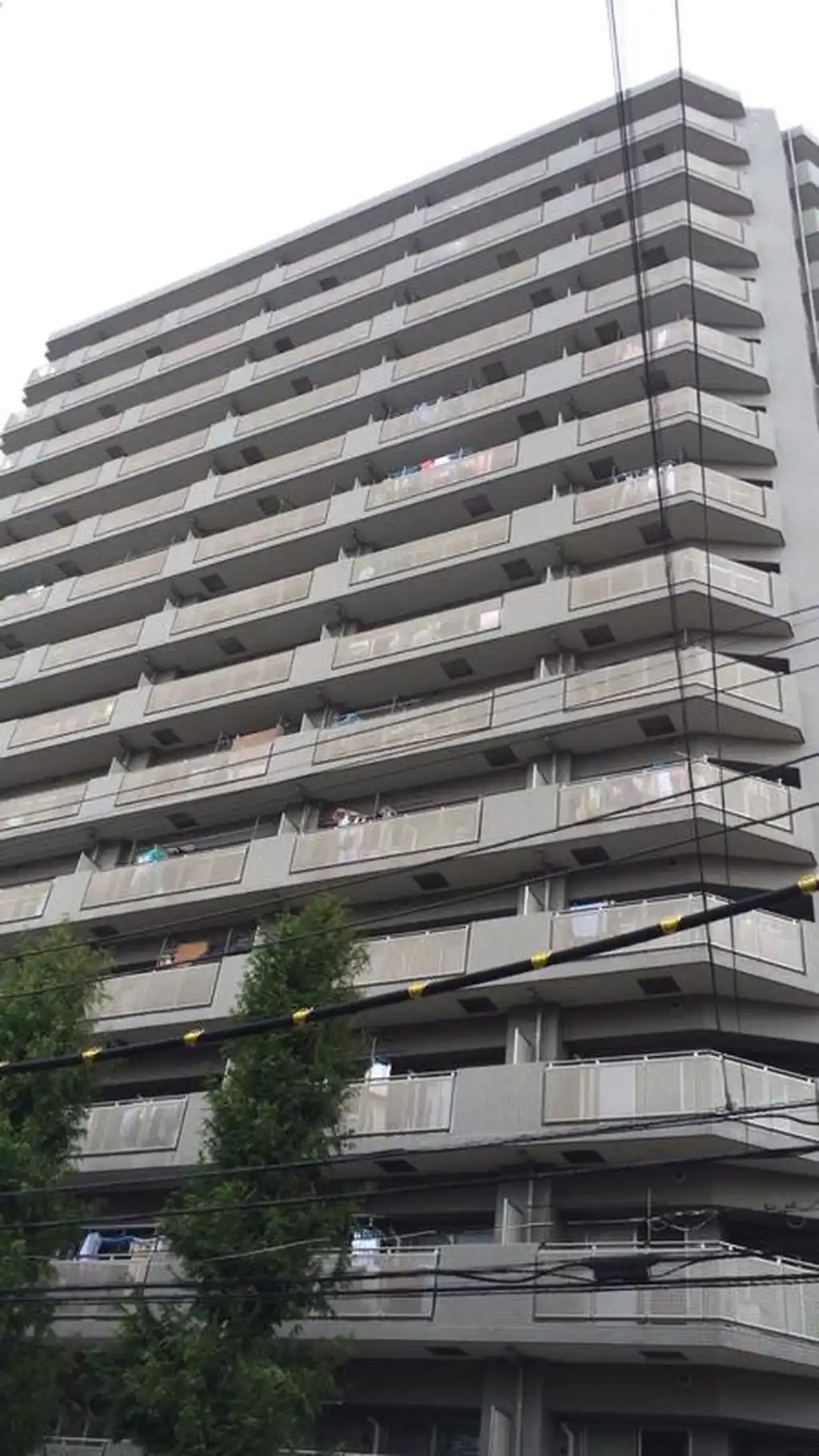 レックスハイツ綾瀬 外観