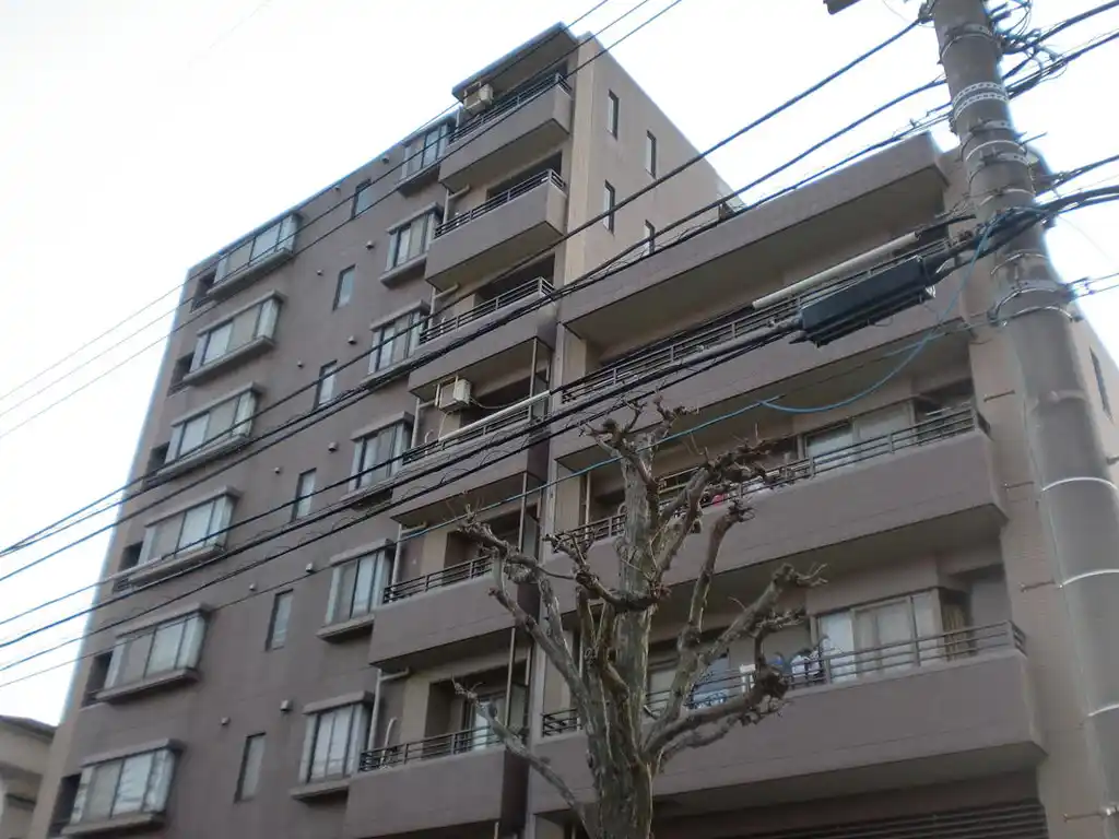 レクセルマンションお花茶屋 外観