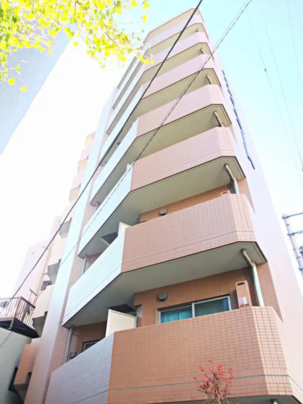 スカイコート文京小石川第5 外観