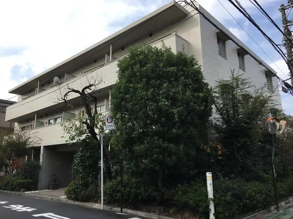 comfort 外観