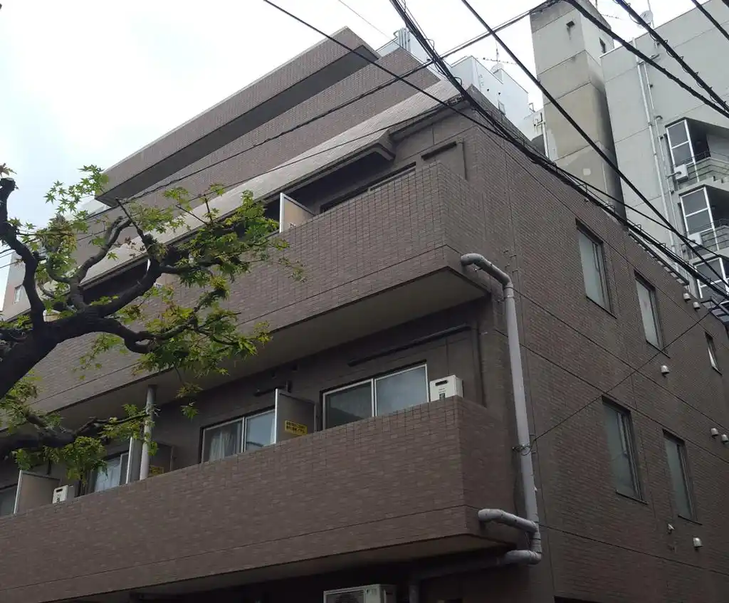 Bourree 外観