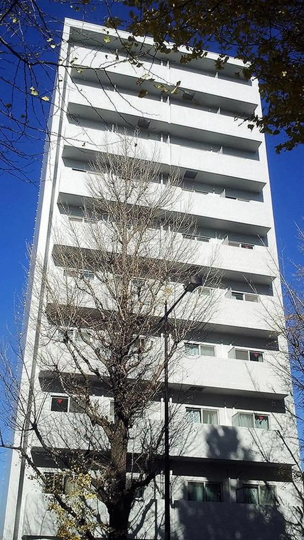 T.HAUS 外観