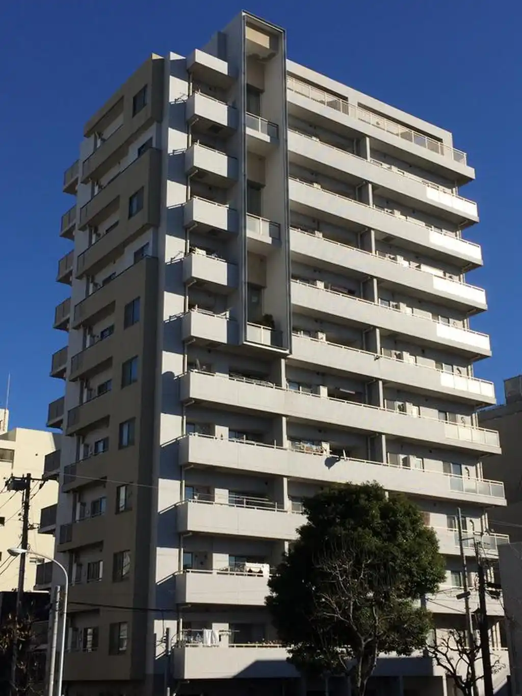 アスコットパーク住吉クラリス 外観