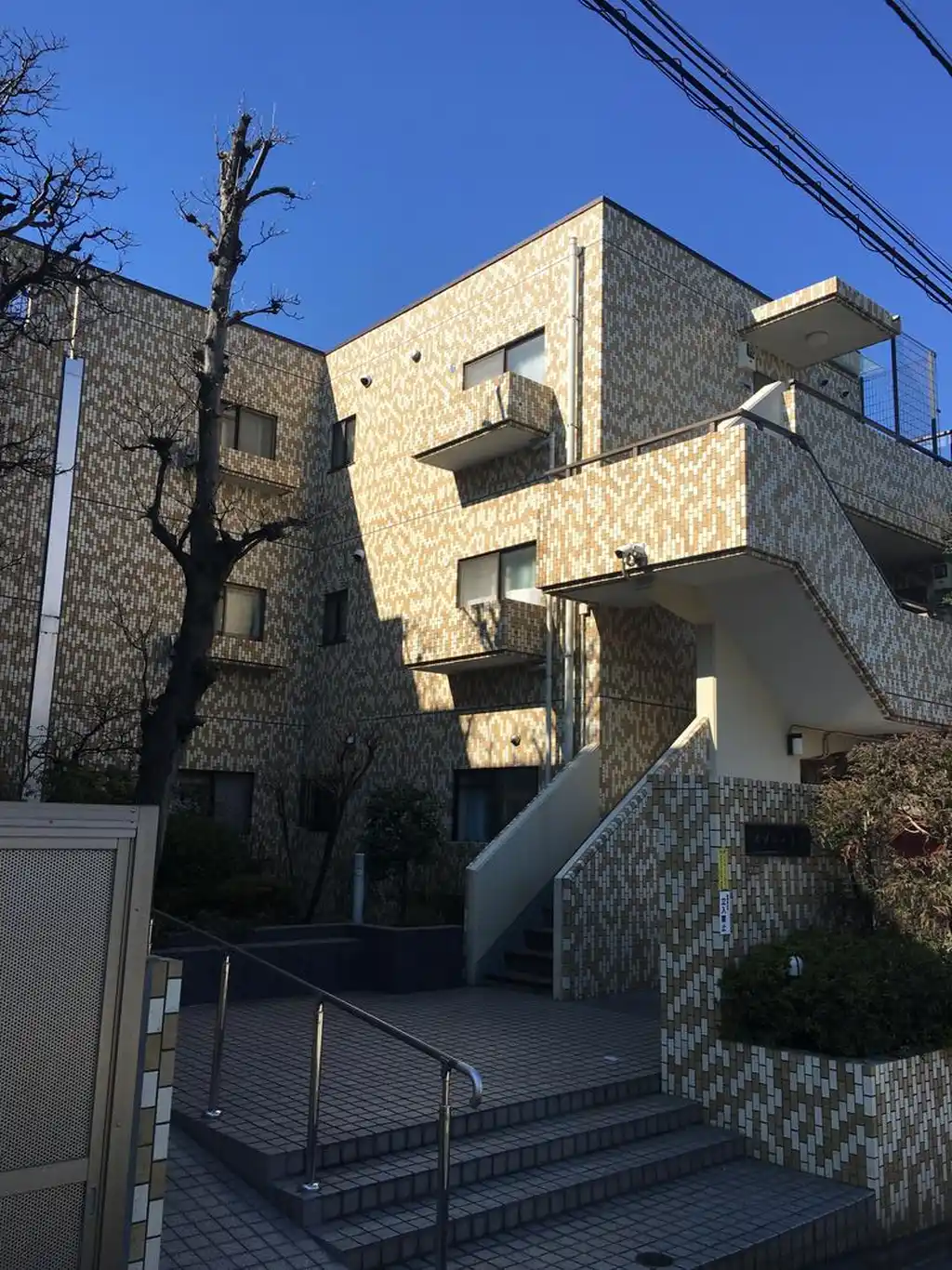 メゾントク 外観