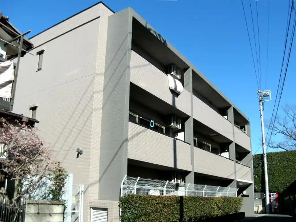 ステラ丸嶋 外観