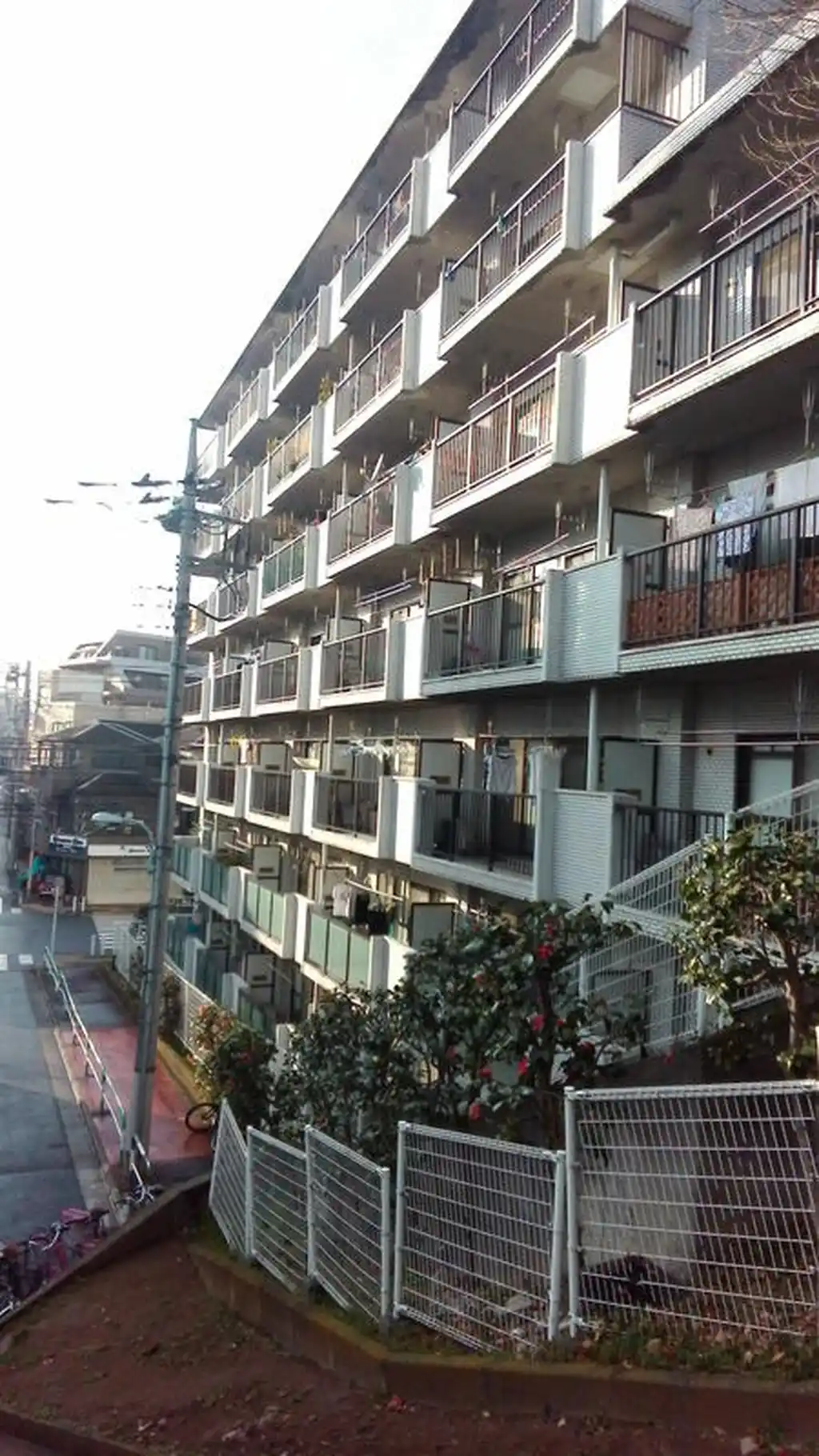 サンパレス徳丸第1 外観