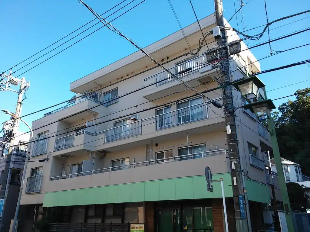 大明グレイス綱島 外観