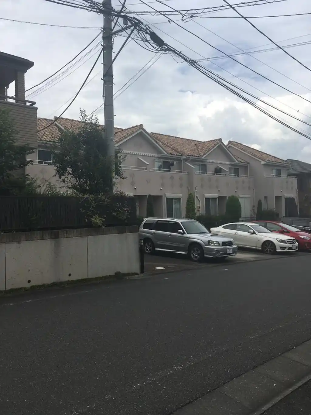 クランベリー 外観