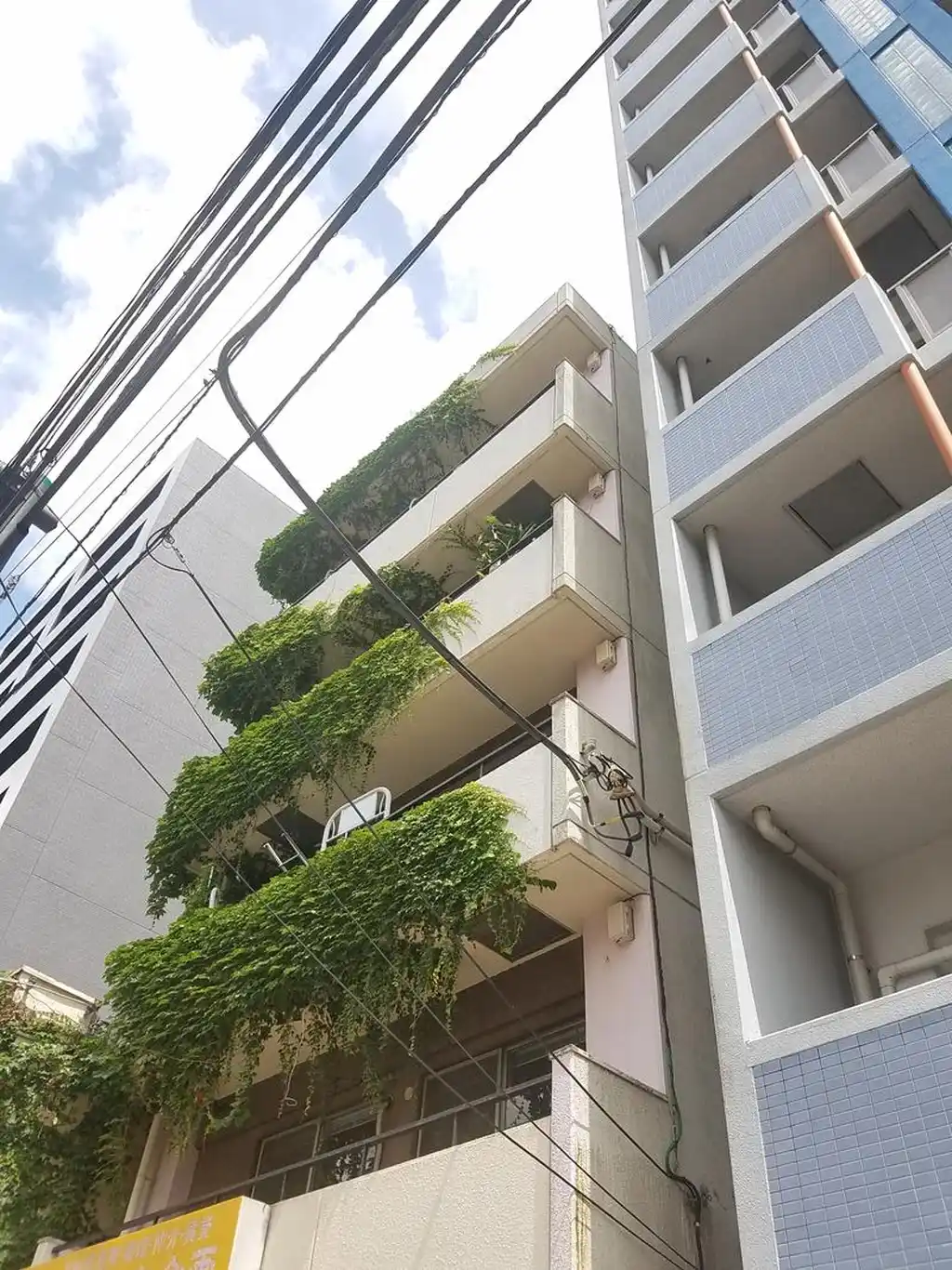 ネオステージ初音町 外観