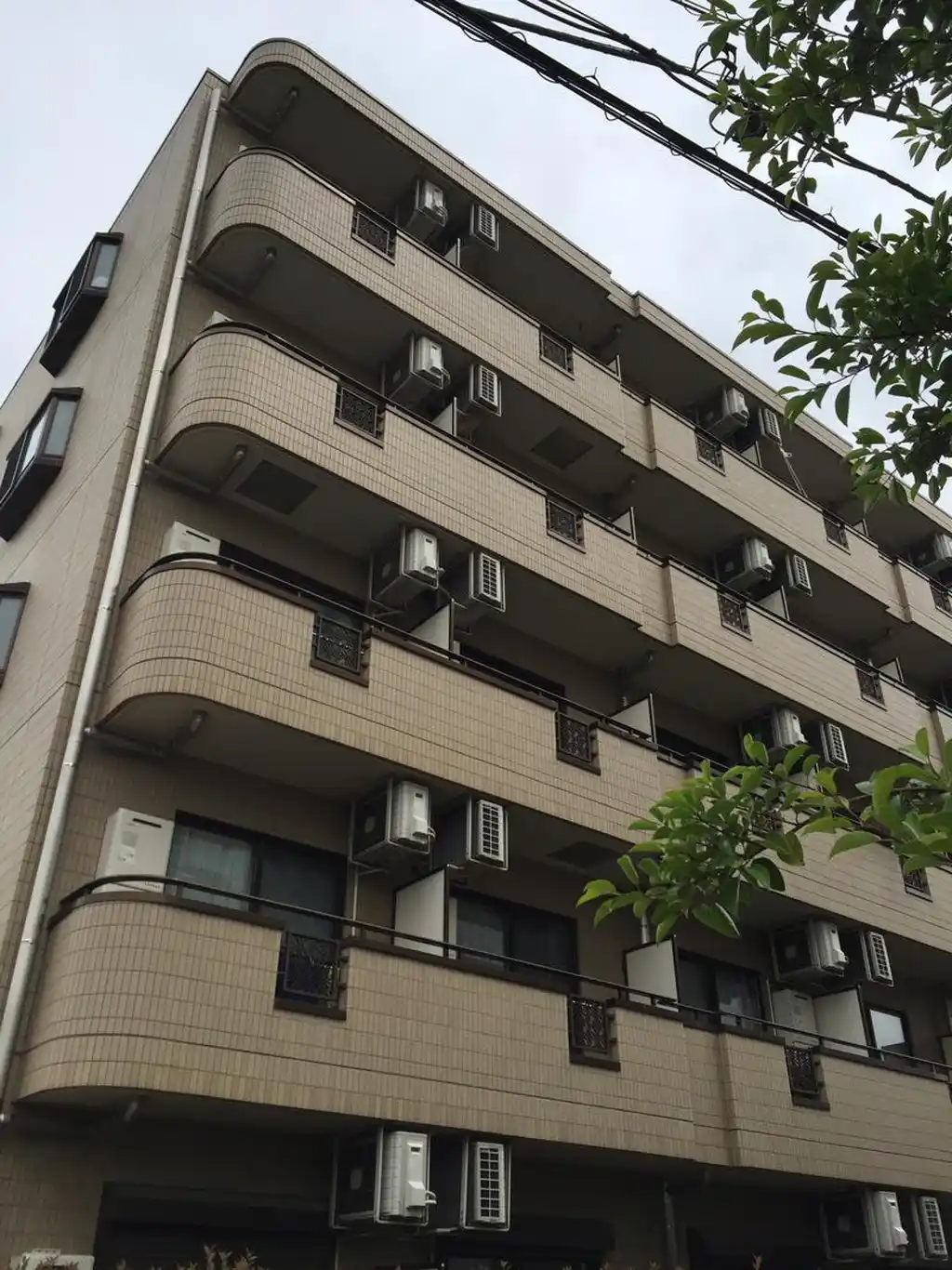 ラソ フエルサ 外観