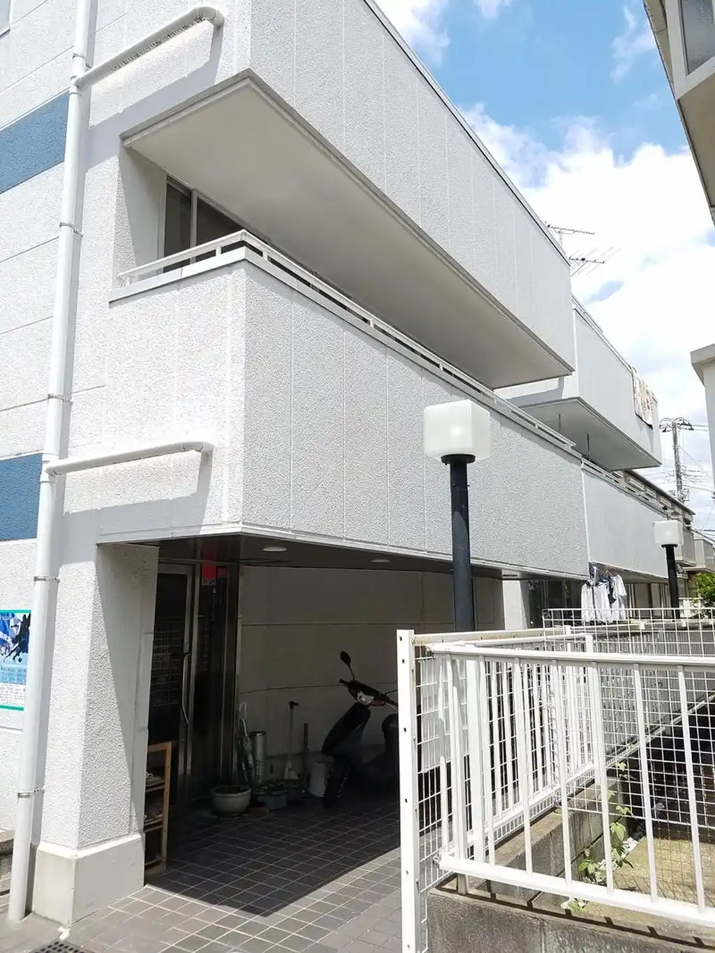 ルシオール塩焼 外観