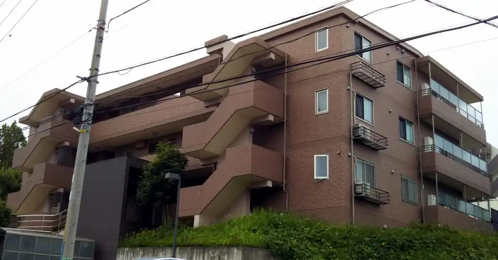 Lagurusazamino 外観