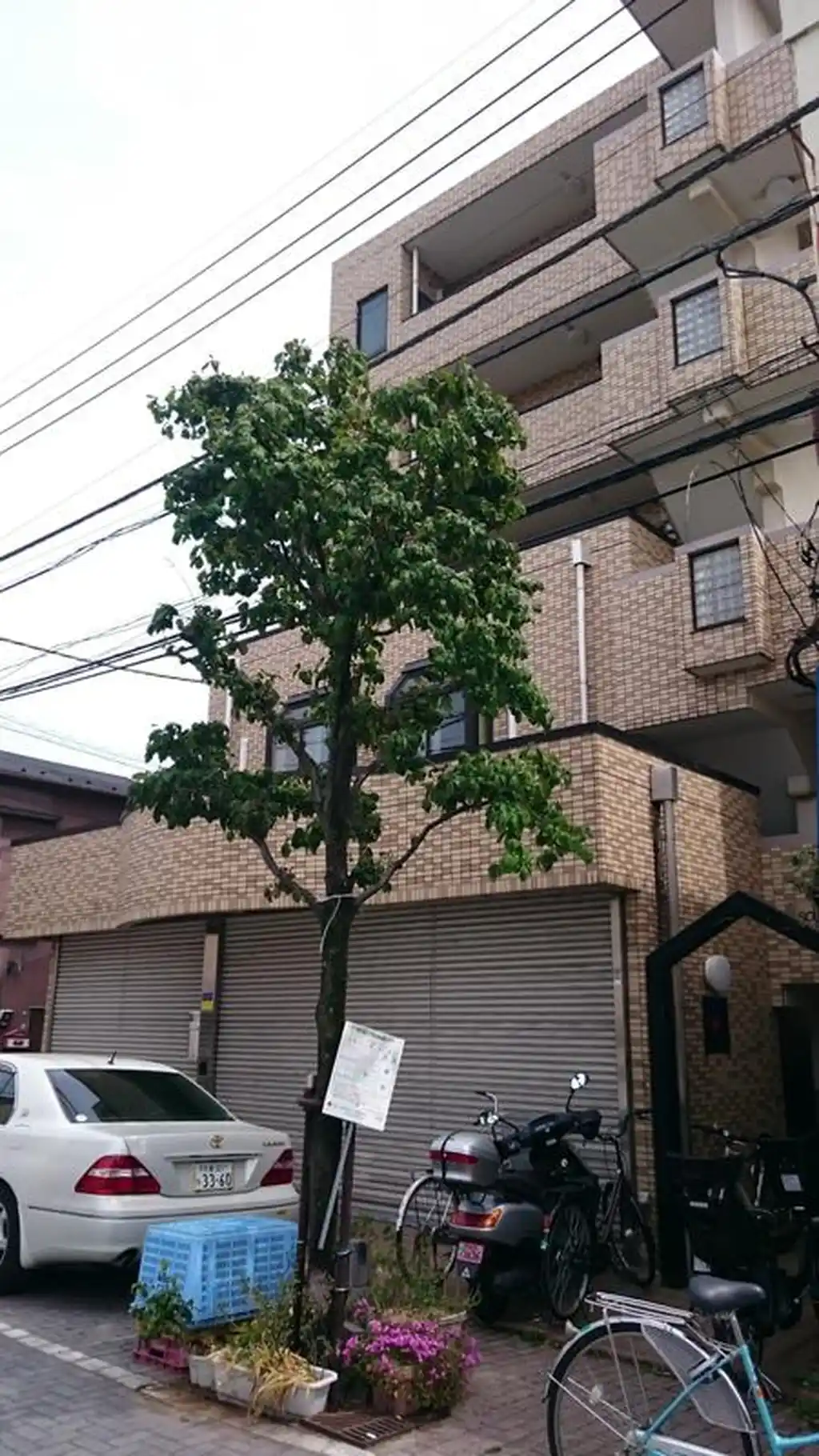 サウスネクストIII 外観