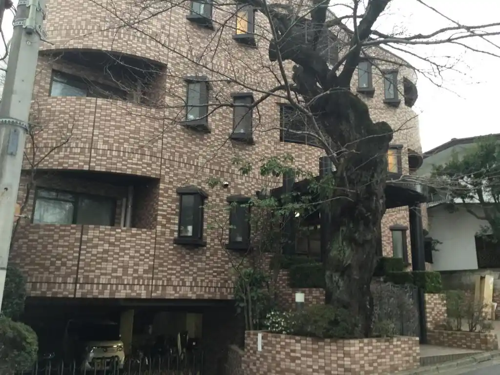 パレ・ソワサン 外観