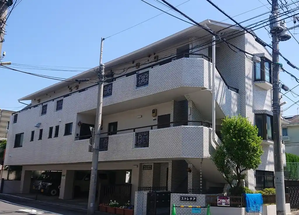 ストレチア 外観