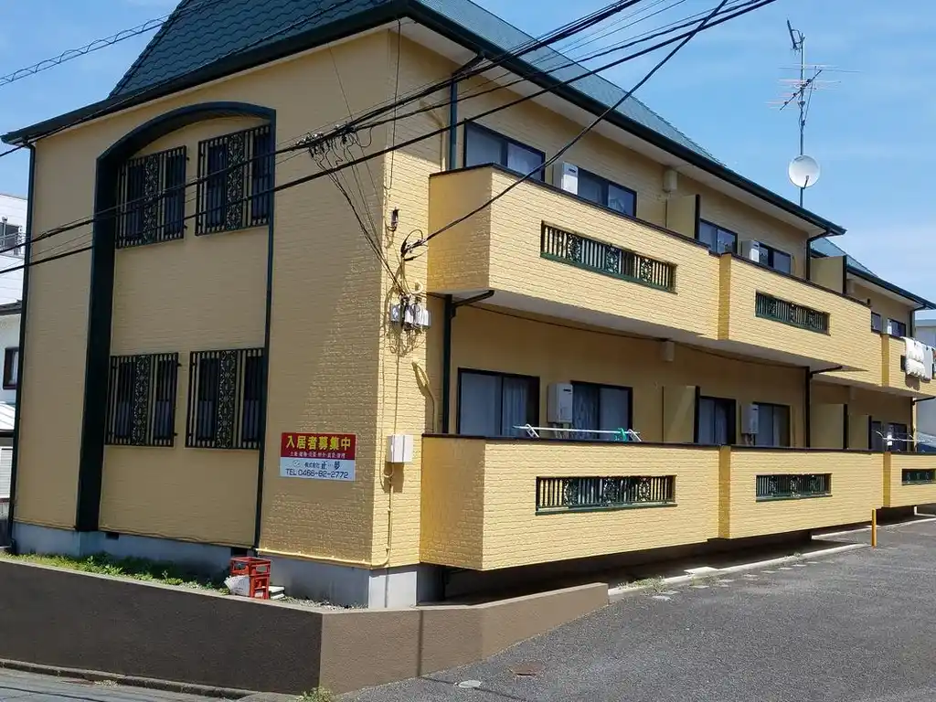 アショカニーペペロミア 外観