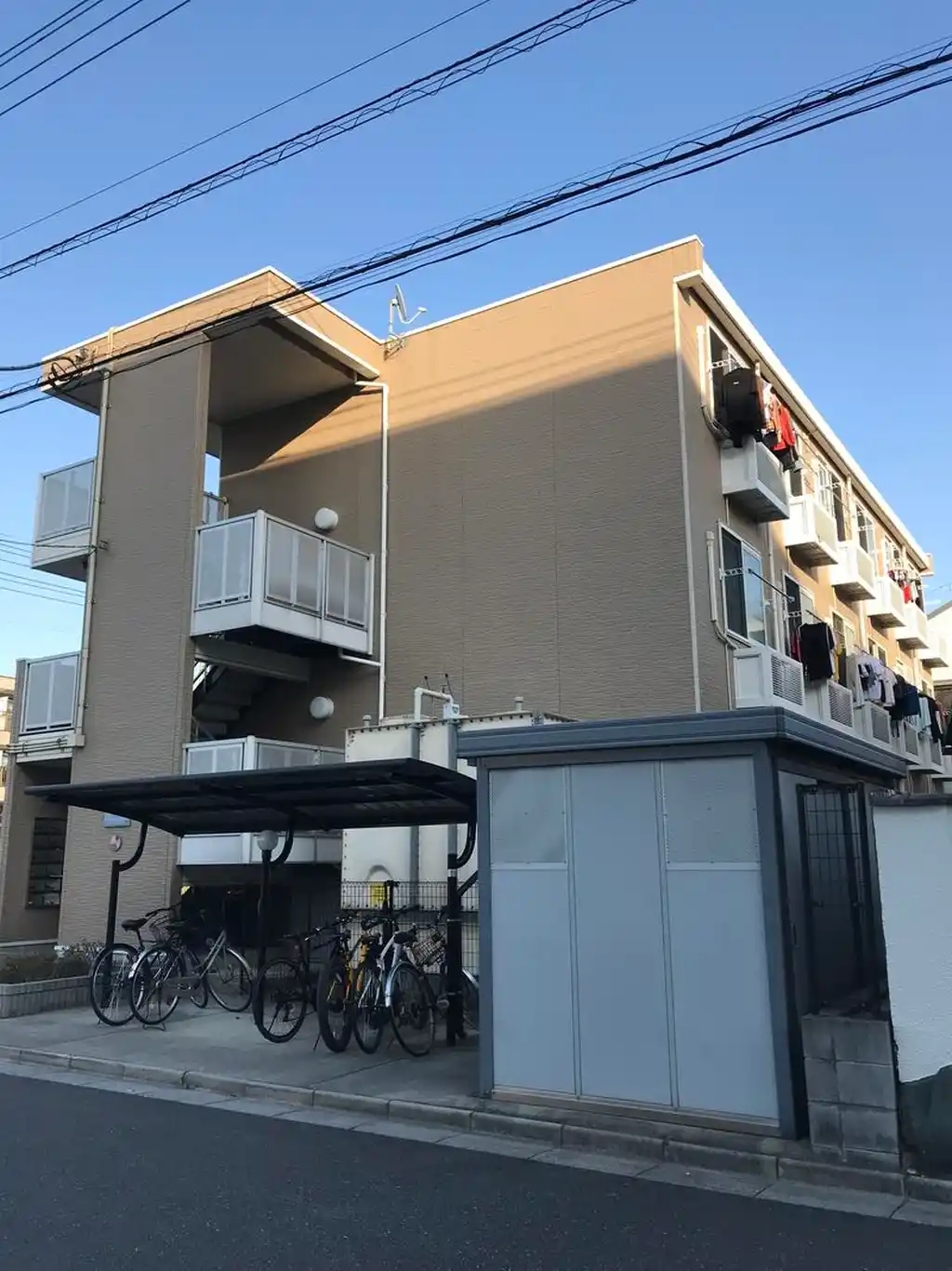 カリン 外観