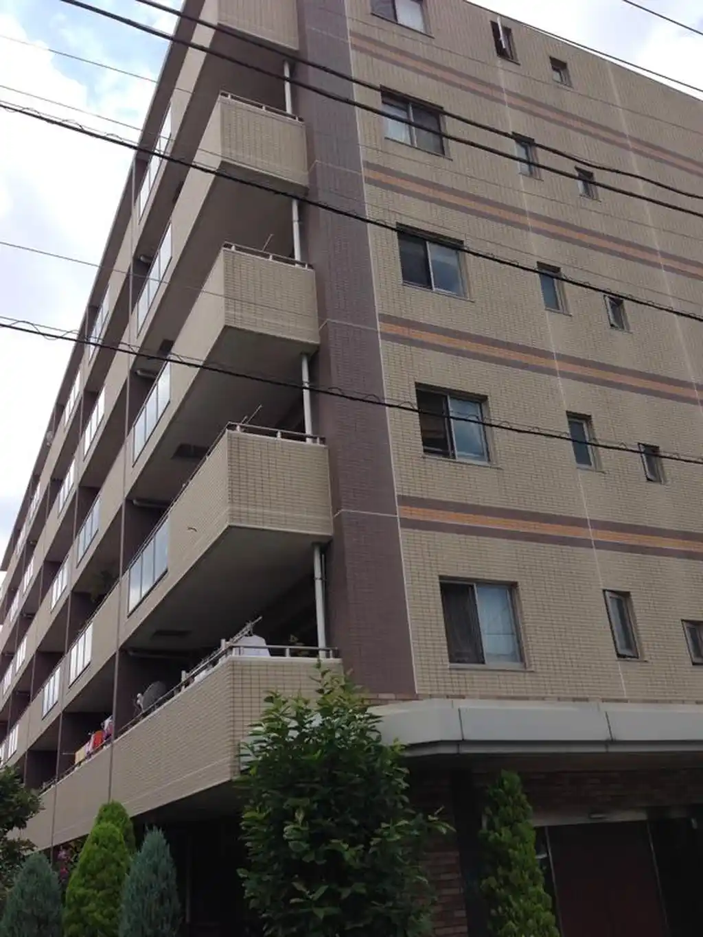 藤和シティホームズ金町ラフィーネ 外観