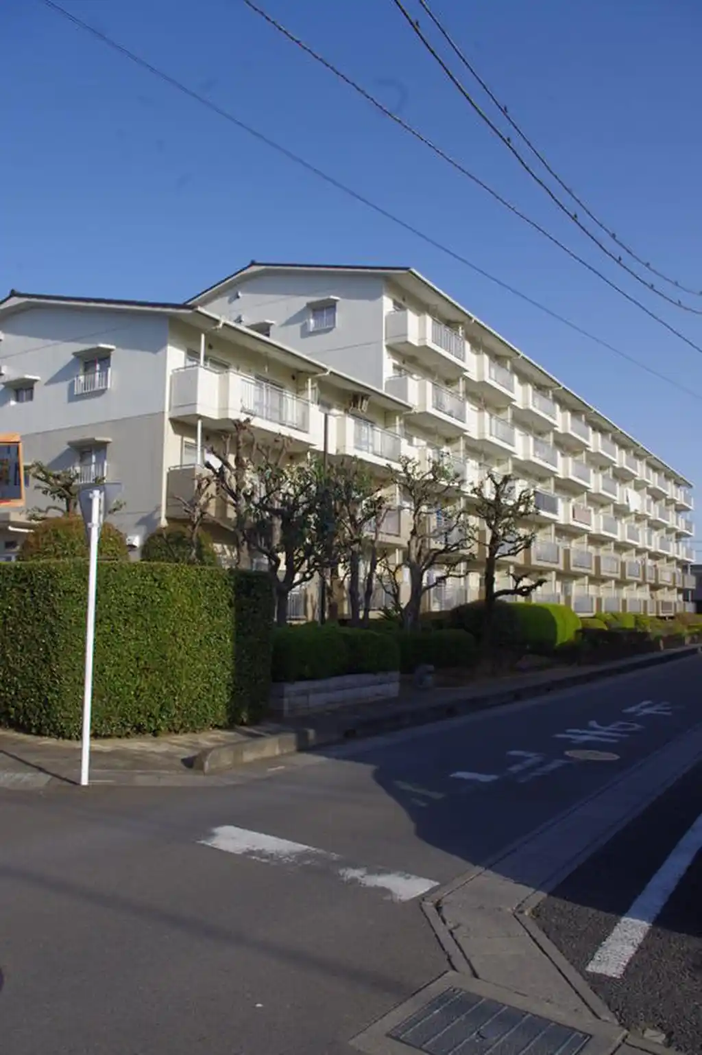 コーポレート南与野 外観