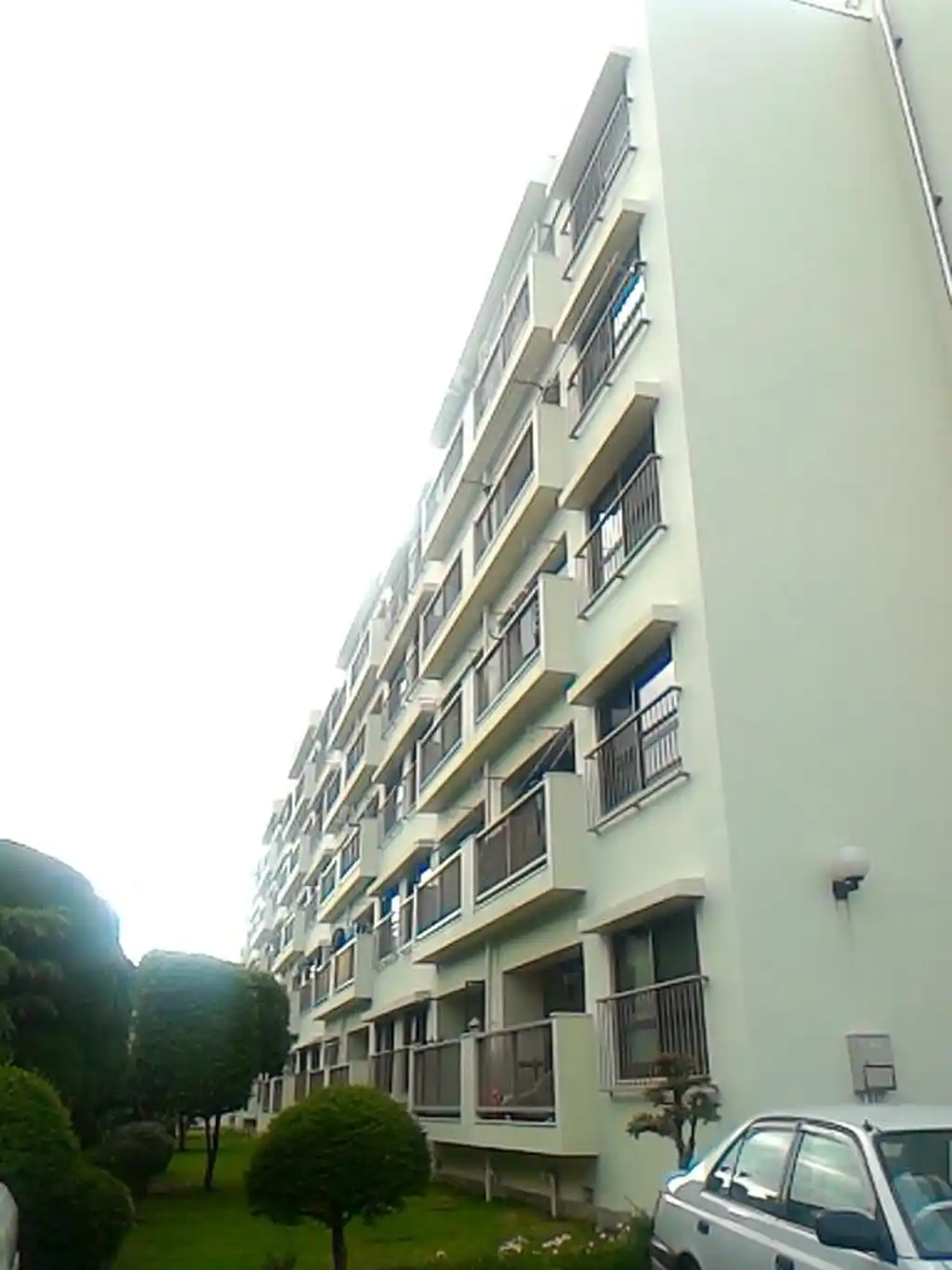 大宮大成町住宅 外観