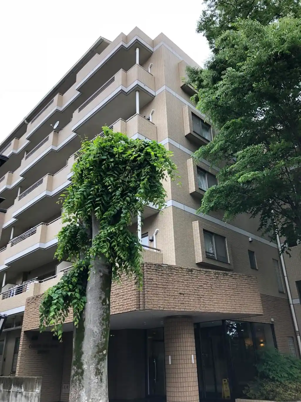 コートメドウ 外観