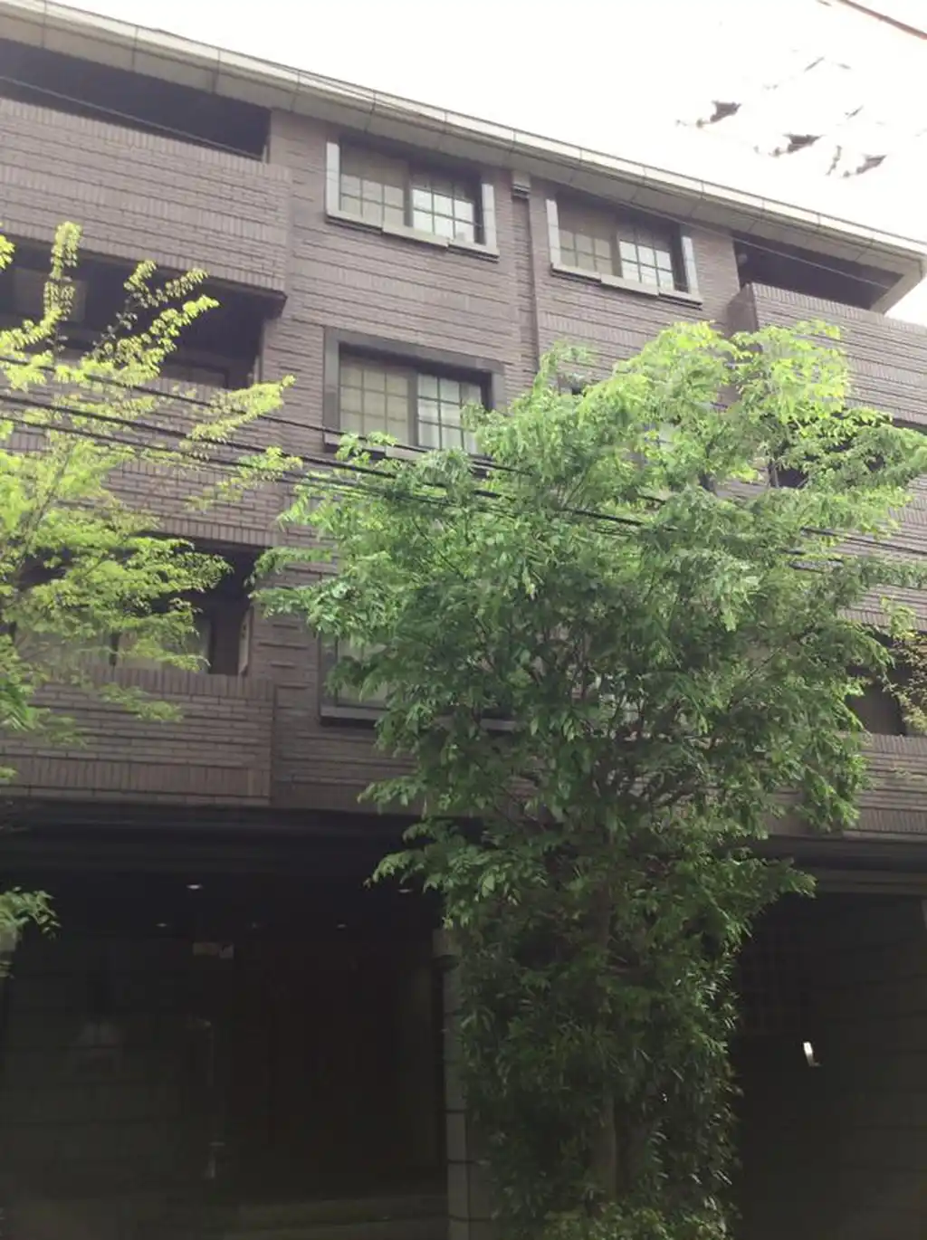 シュロス桜新町 外観