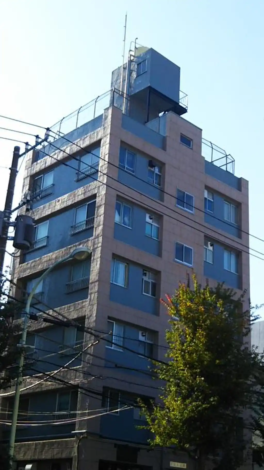 ドエル大橋 外観