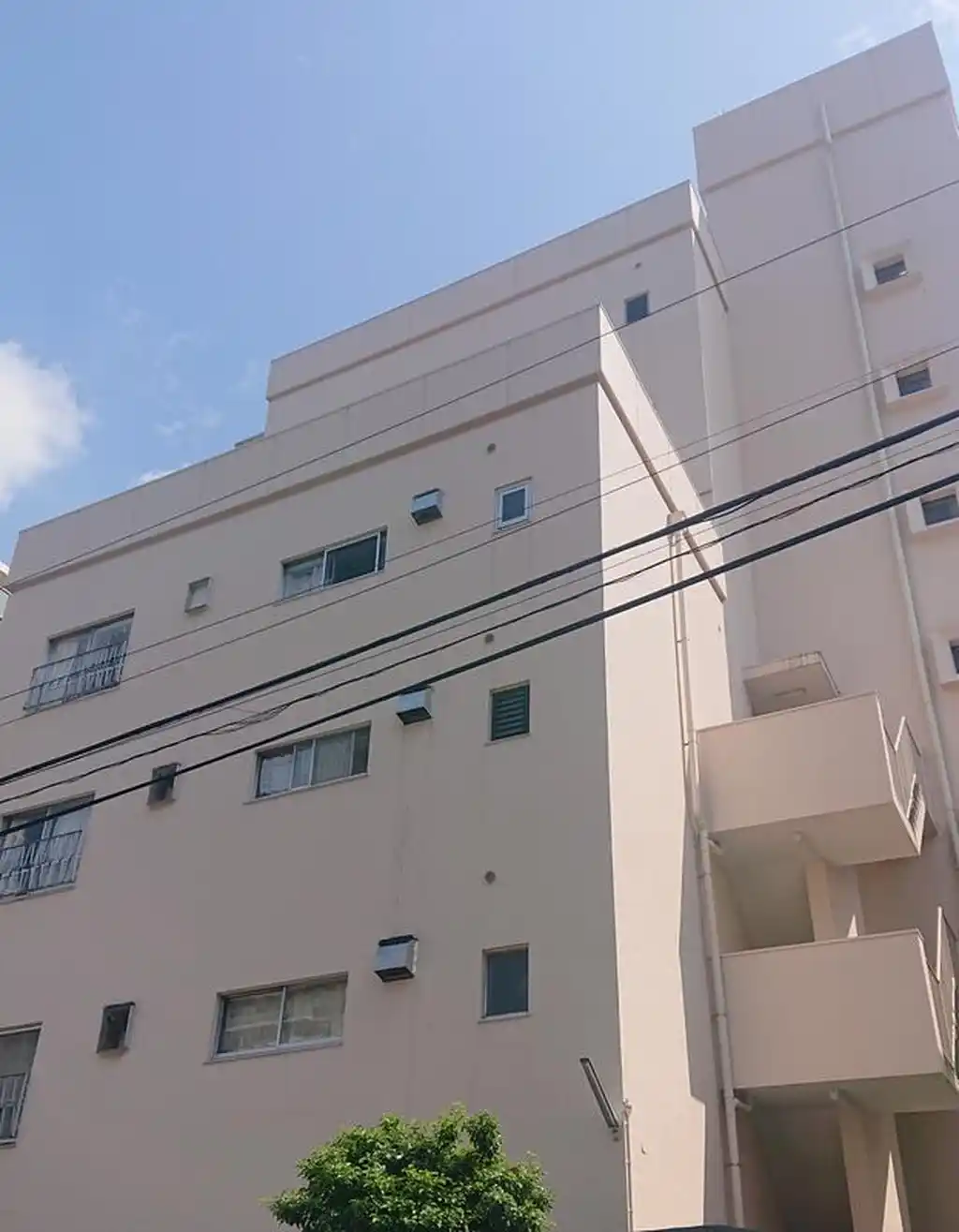 サン椎名町ハイツ 外観