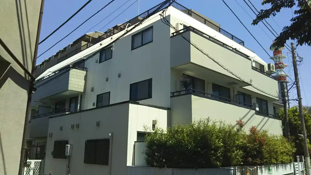SAMERIYA 外観