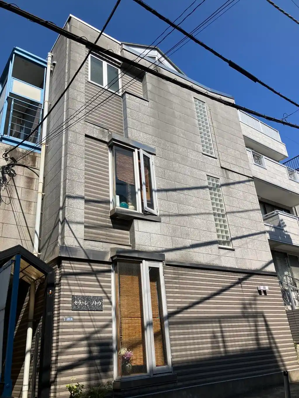 セラーレノトウ 外観