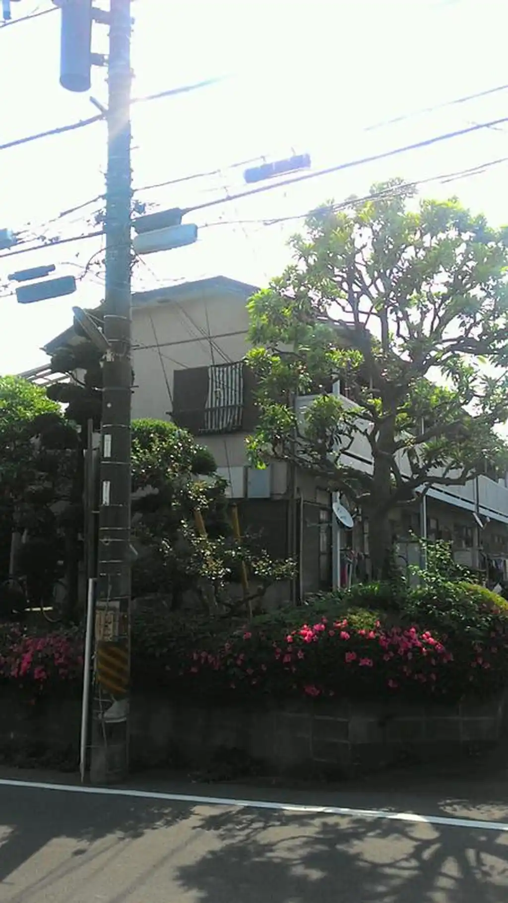 第一持田ホーム 外観