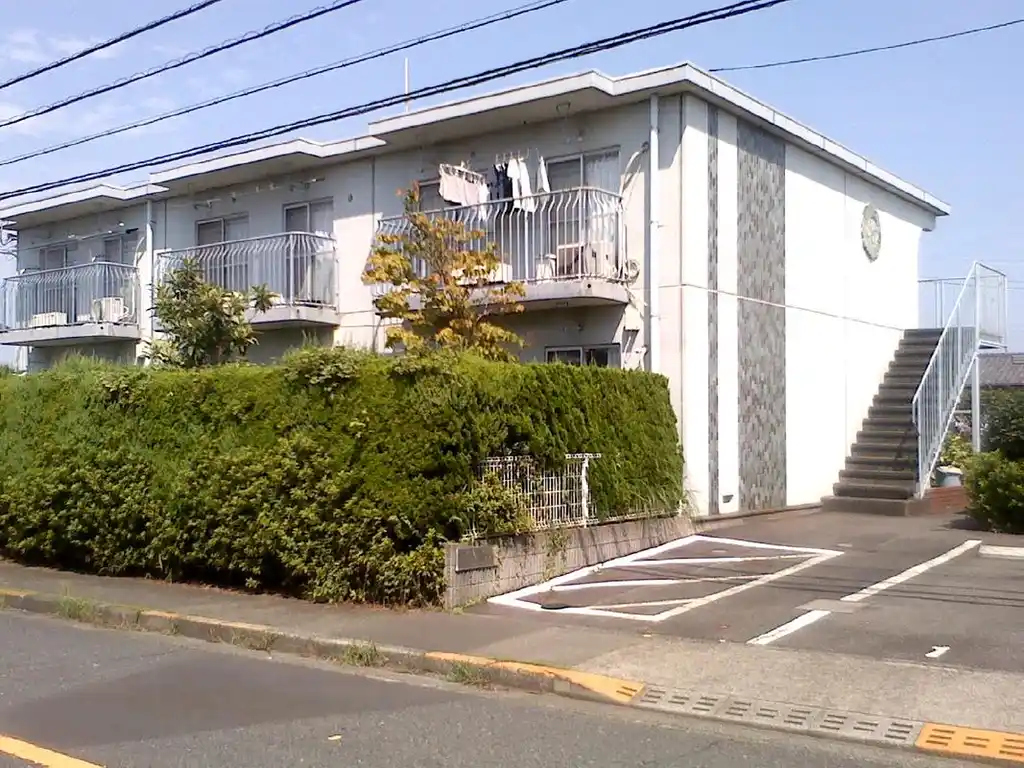 サンホワイトM-312 外観