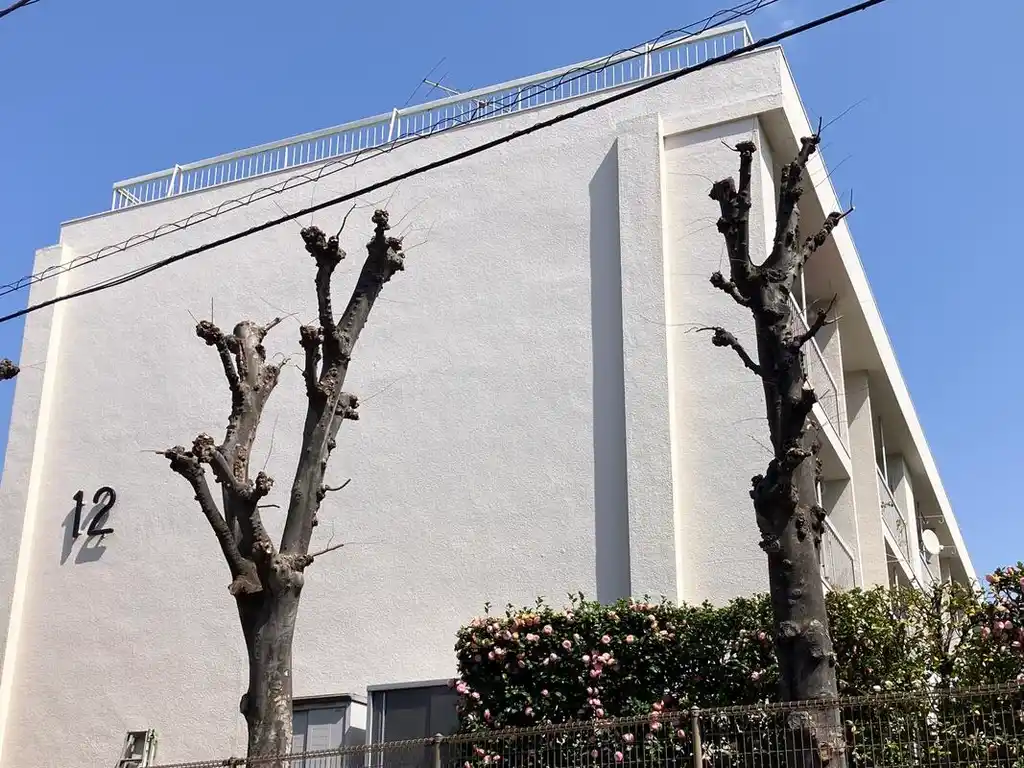 東京都住宅供給公社江古田住宅12号棟 外観