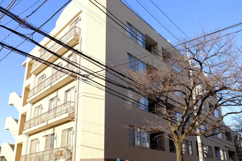 サンフル碑文谷 碑さくら通り NORTH SIDE 外観