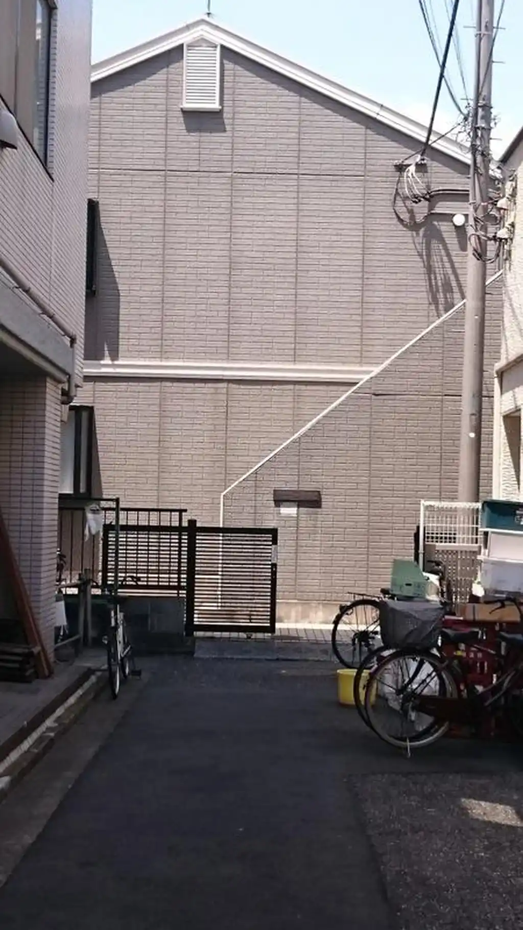 フェローワラビ 外観