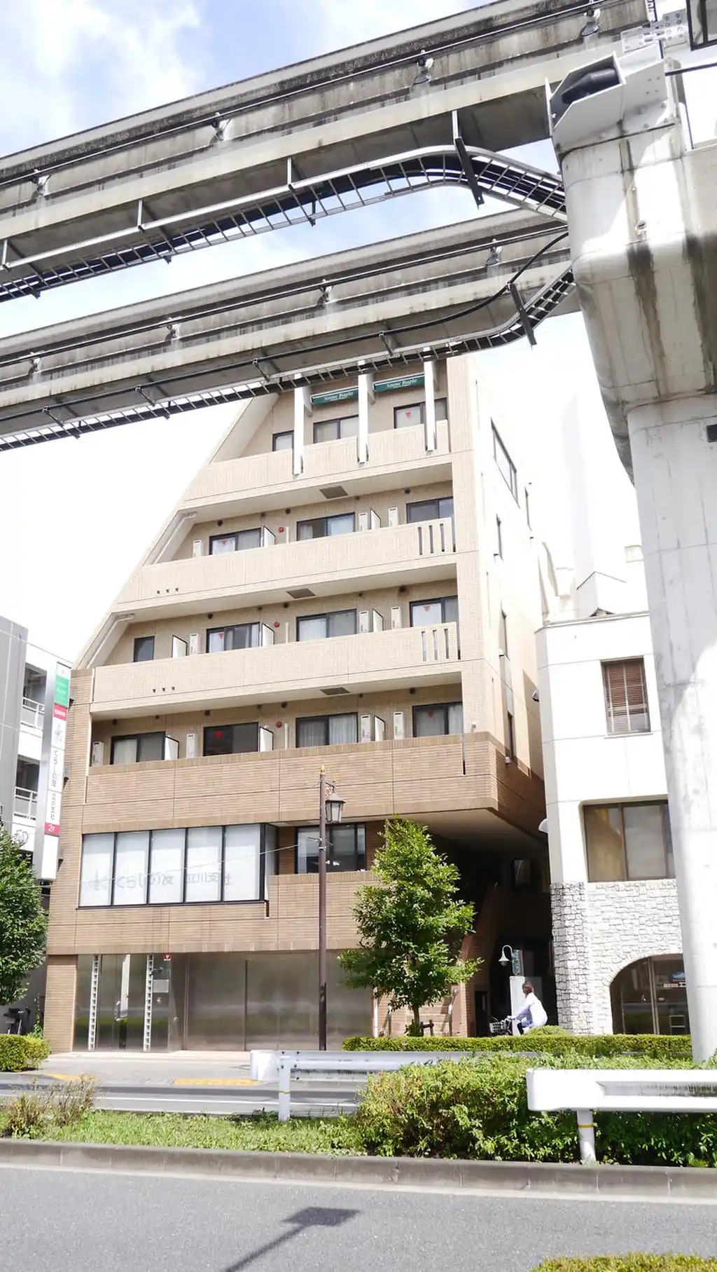 静フェバレット 外観
