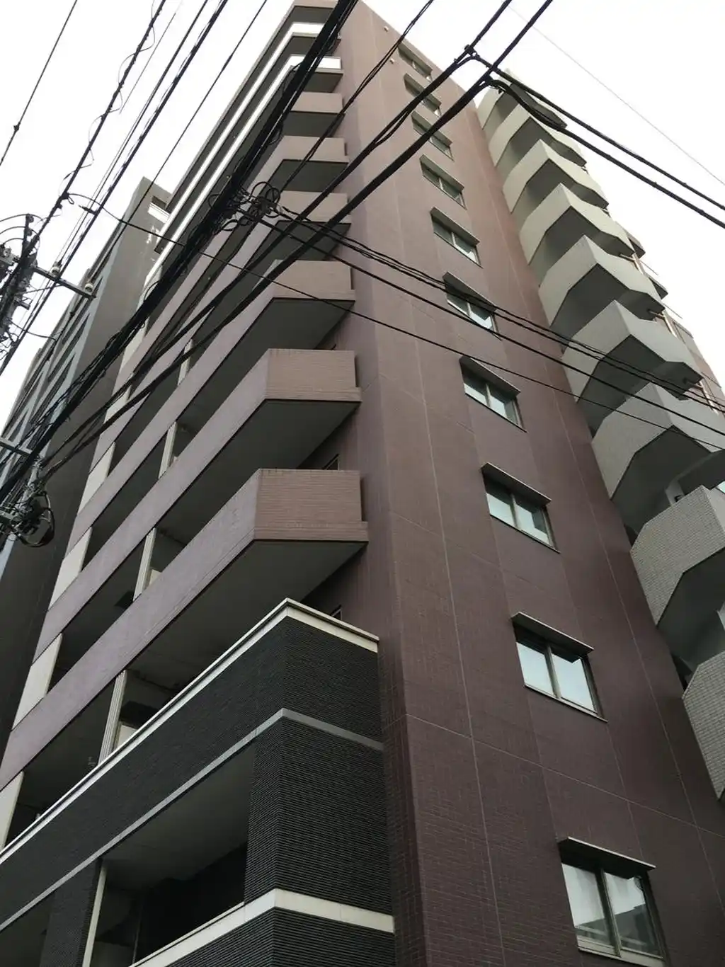 フェザント 外観